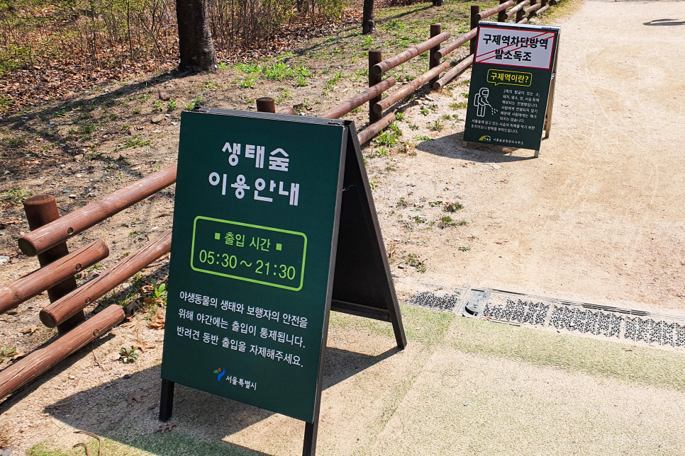 성수동 서울숲 벚꽃 구경 피크닉 ~ 나들이 좋은 서울 공원 추천