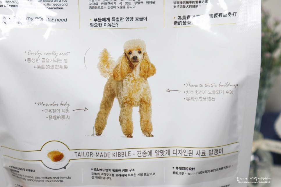 강아지 습식사료 후기 로얄캐닌 푸들 사료 추천