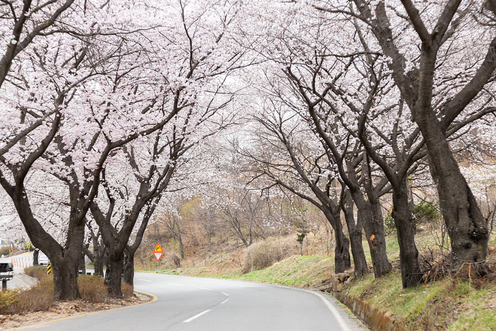 대구 근교 가볼만한곳 합천 여행 천불천탑 영상테마파크 황매산