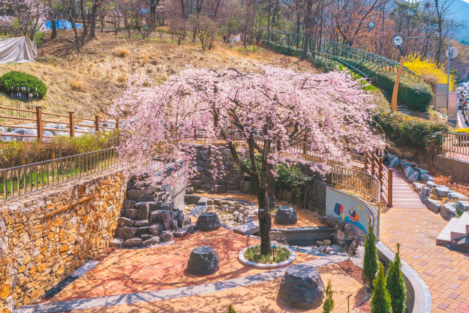 [대구 벚꽃 여행] 찾았다, 벚꽃 여행지! 대구 벚꽃 명소 5 :: 대구스타디움, 수성못, 앞산빨래터공원, 두류공원, 대구이월드, 대구 가볼 만한 곳