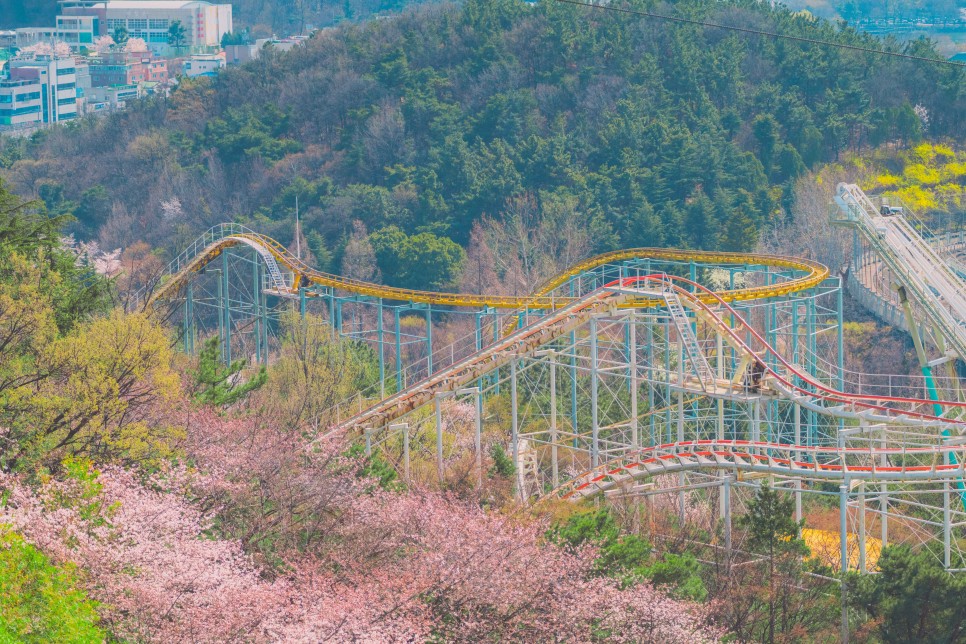 [대구 벚꽃 여행] 찾았다, 벚꽃 여행지! 대구 벚꽃 명소 5 :: 대구스타디움, 수성못, 앞산빨래터공원, 두류공원, 대구이월드, 대구 가볼 만한 곳