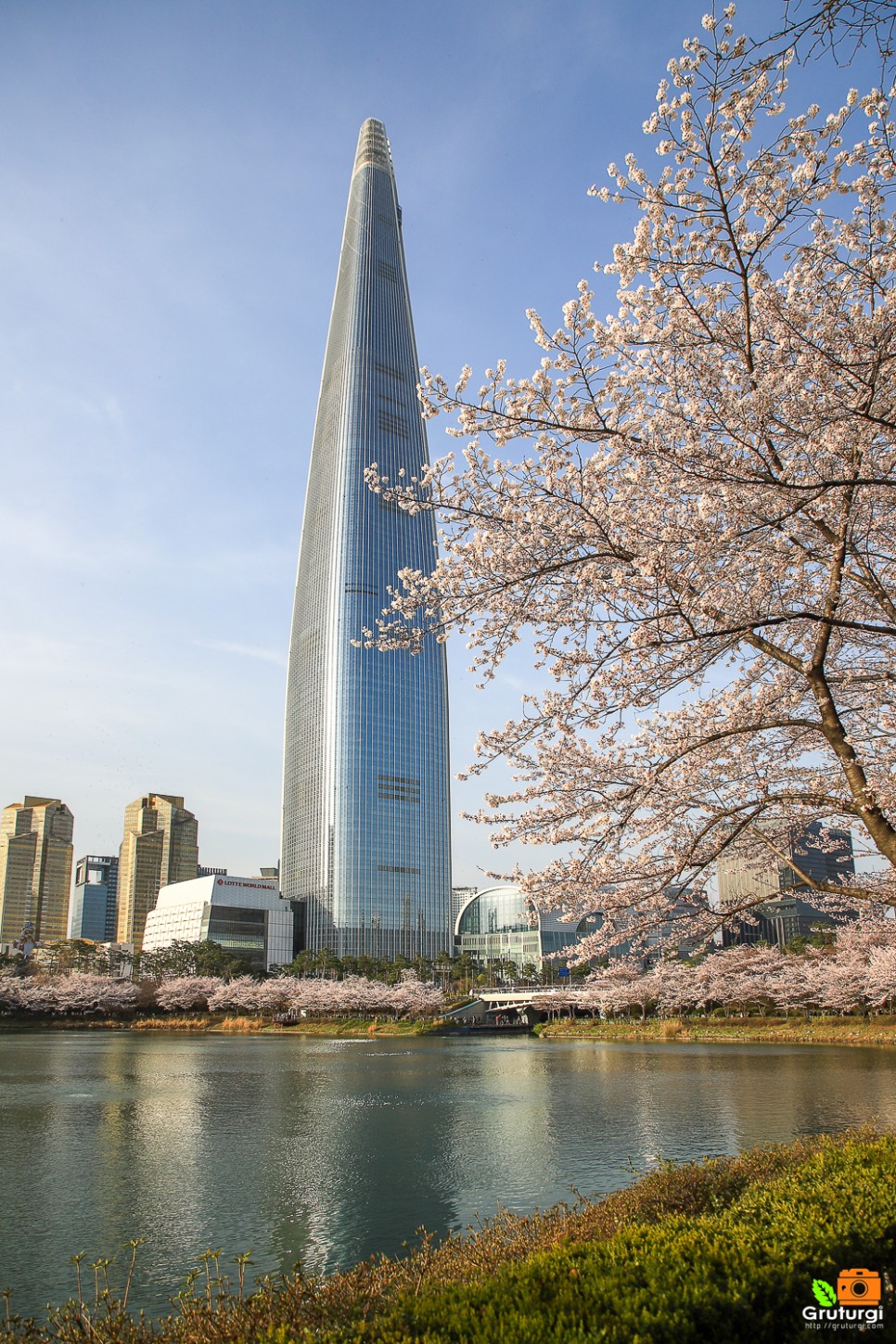 서울 벚꽃명소 잠실 석촌호수 벨리곰과 서울 꽃구경