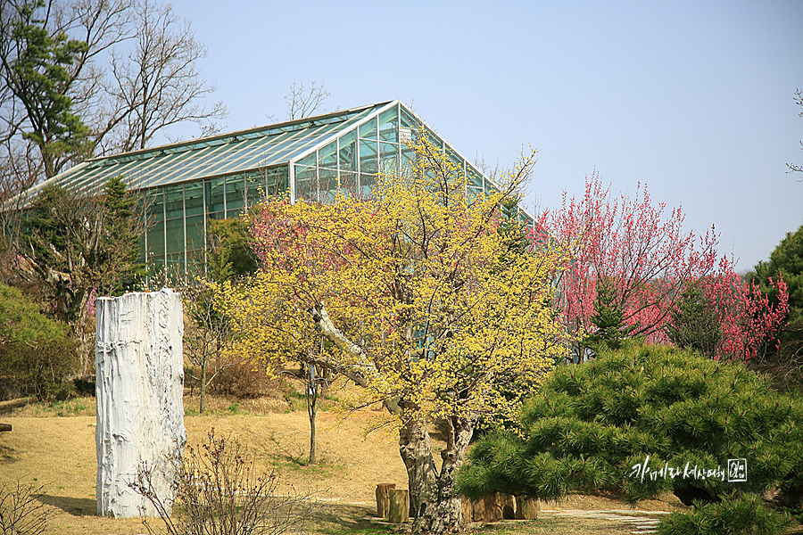 경기도 파주 가볼만한곳 소울원 & 파주 프로방스마을 외 데이트코스