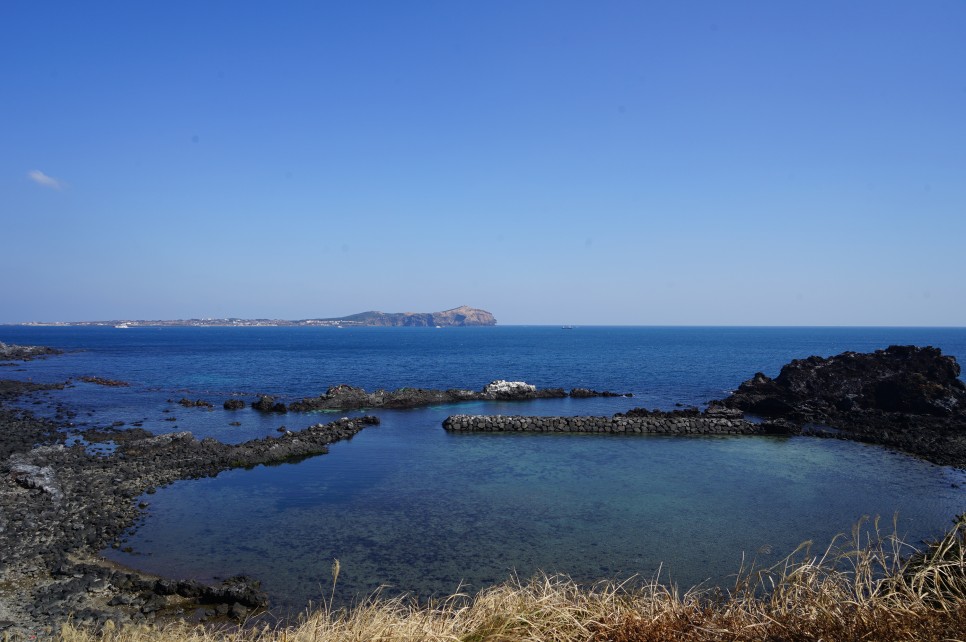 제주도 갈만한곳 비자림 제주 블루보틀 등 1박2일 코스 추천