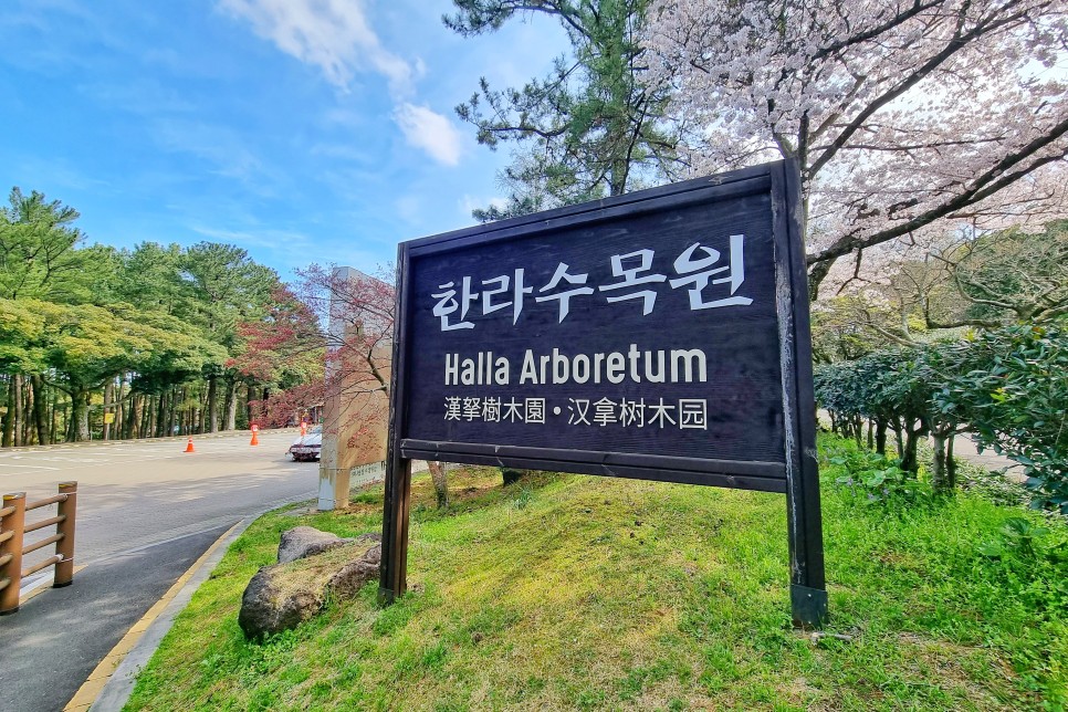 제주공항 근처 가볼만한곳 제주 한라수목원 봄나들이