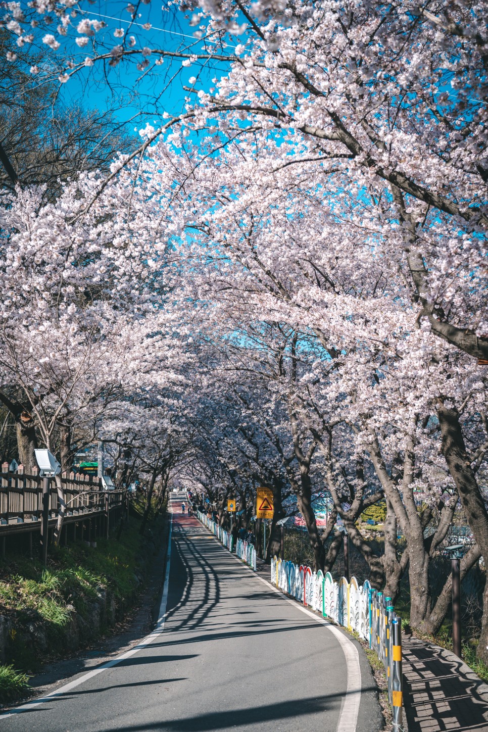 [하동 여행 코스] 천천히 봄을 즐길 수 있는, 하동 봄 여행 :: 최참판댁, 쌍계사 십 리 벚꽃길, 스타웨이하동, 화개장터, 하동 가볼 만한 곳