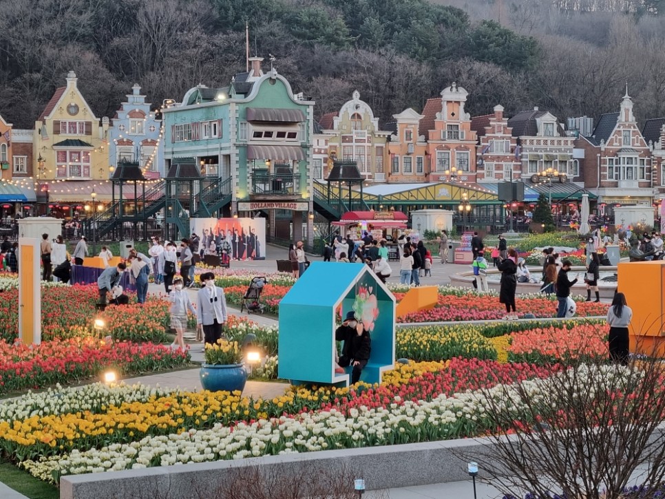 용인 에버랜드 자유이용권 할인 튤립축제 너무 예쁜 지금