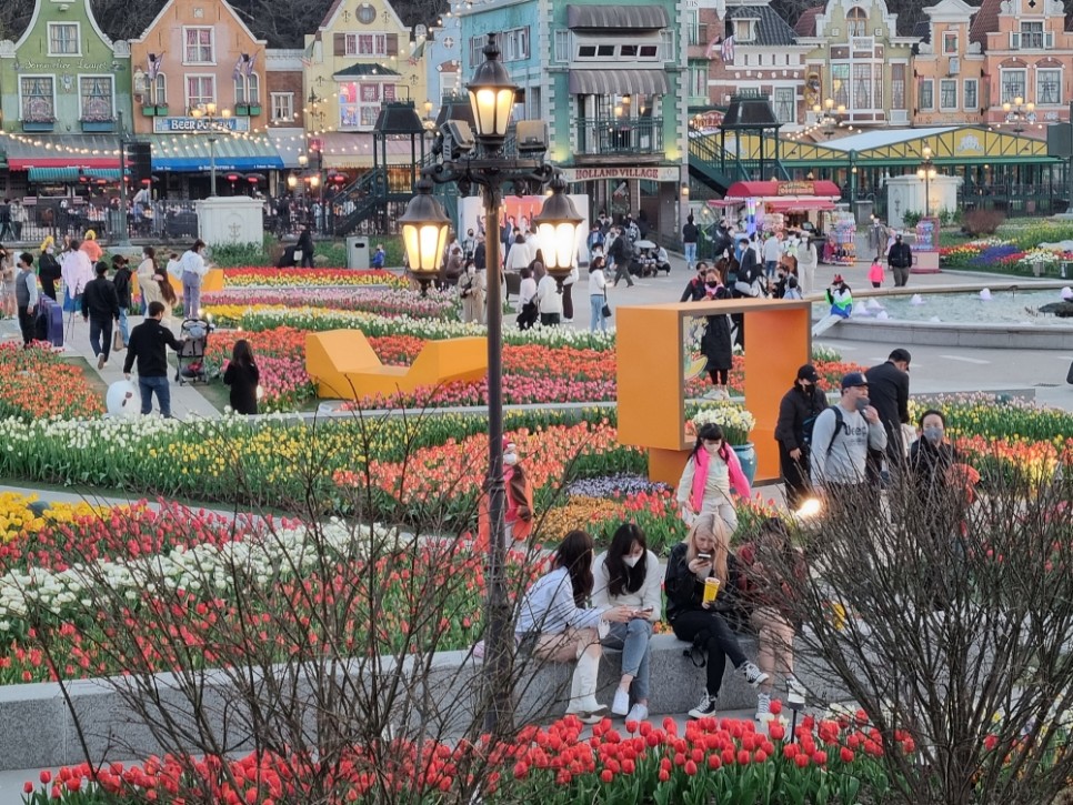 용인 에버랜드 자유이용권 할인 튤립축제 너무 예쁜 지금