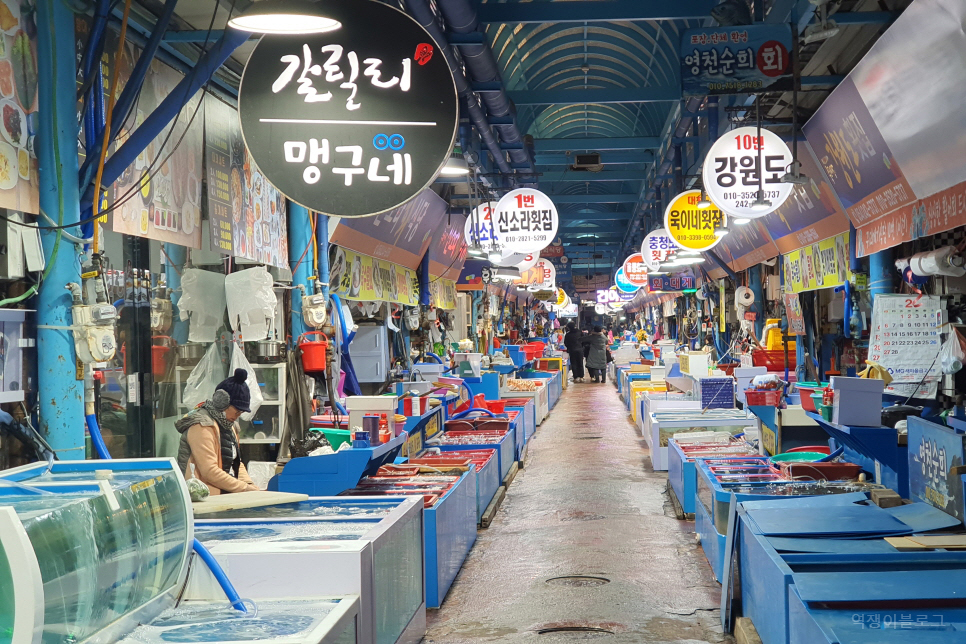 경북 가볼만한곳 포항 죽도시장 먹거리 볼거리 많았던 포항 여행