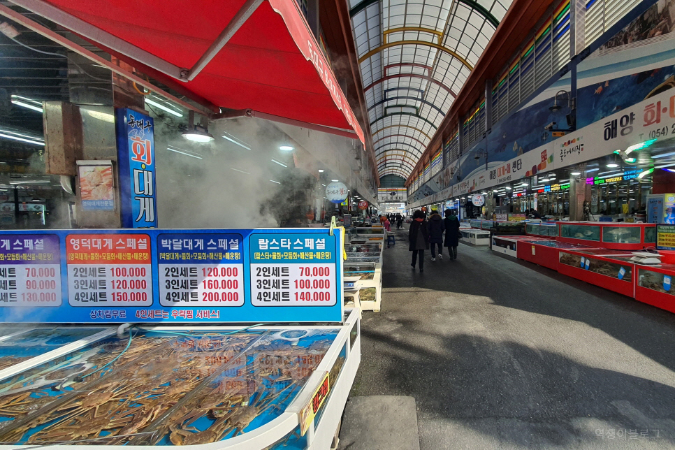 경북 가볼만한곳 포항 죽도시장 먹거리 볼거리 많았던 포항 여행