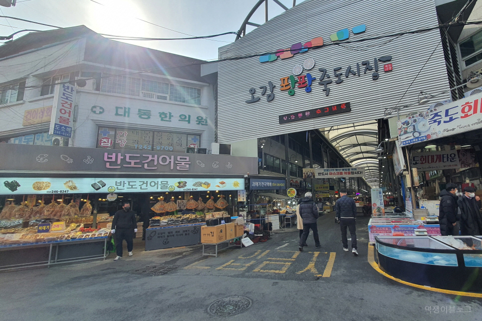 경북 가볼만한곳 포항 죽도시장 먹거리 볼거리 많았던 포항 여행