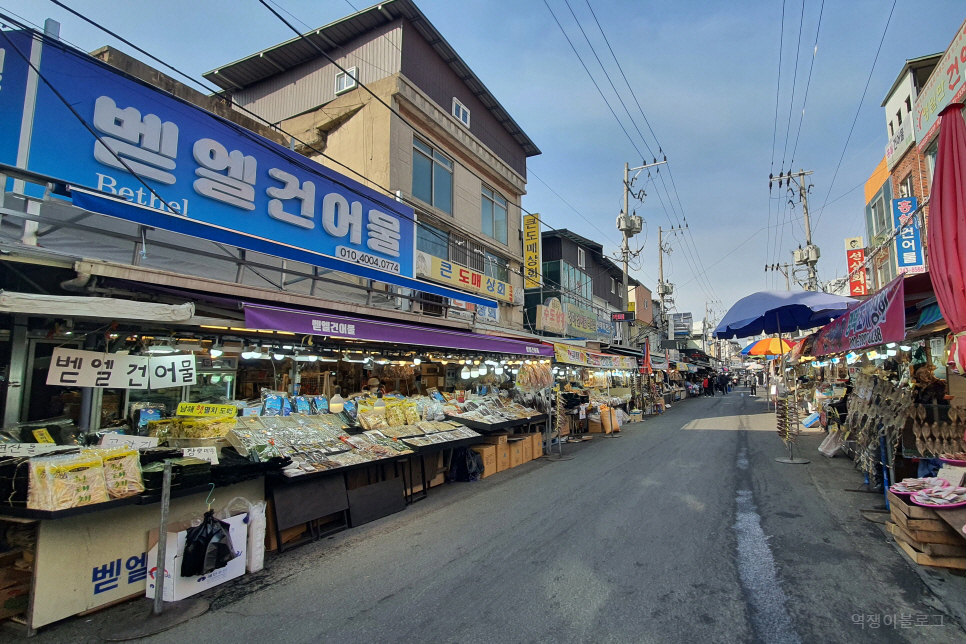 경북 가볼만한곳 포항 죽도시장 먹거리 볼거리 많았던 포항 여행