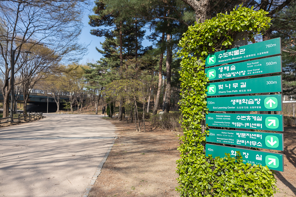 서울숲 벚꽃 도시락존 벚꽃길 피크닉 포토존과 주차장