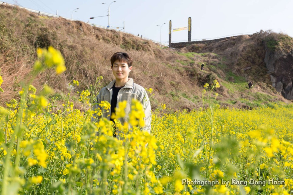 제주도 봄 여행 제주 애월 가볼만한곳 한담해안산책로 제주 유채꽃 명소 한담해변 바다