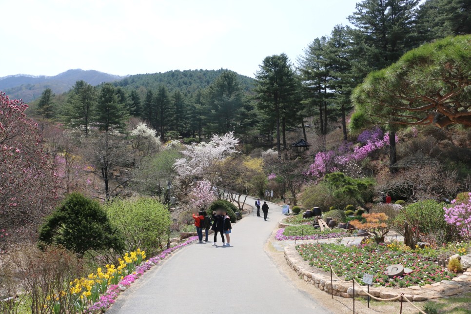 서울근교 갈만한곳 안성팜랜드, 곤지암 화담숲 포함 4월 꽃구경 여행지 5곳