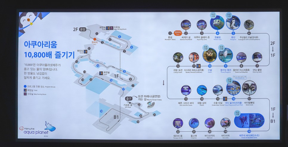 제주 핫플 실내데이트 하기좋은 아쿠아플라넷 제주