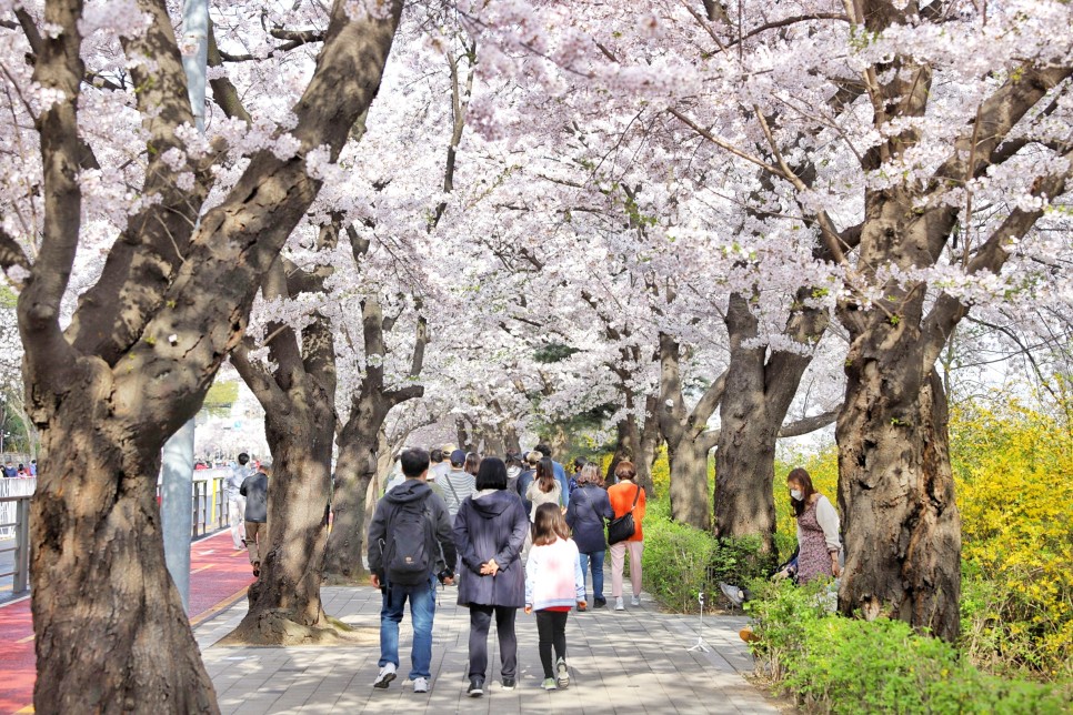 가평 수상레저 지금부터 준비