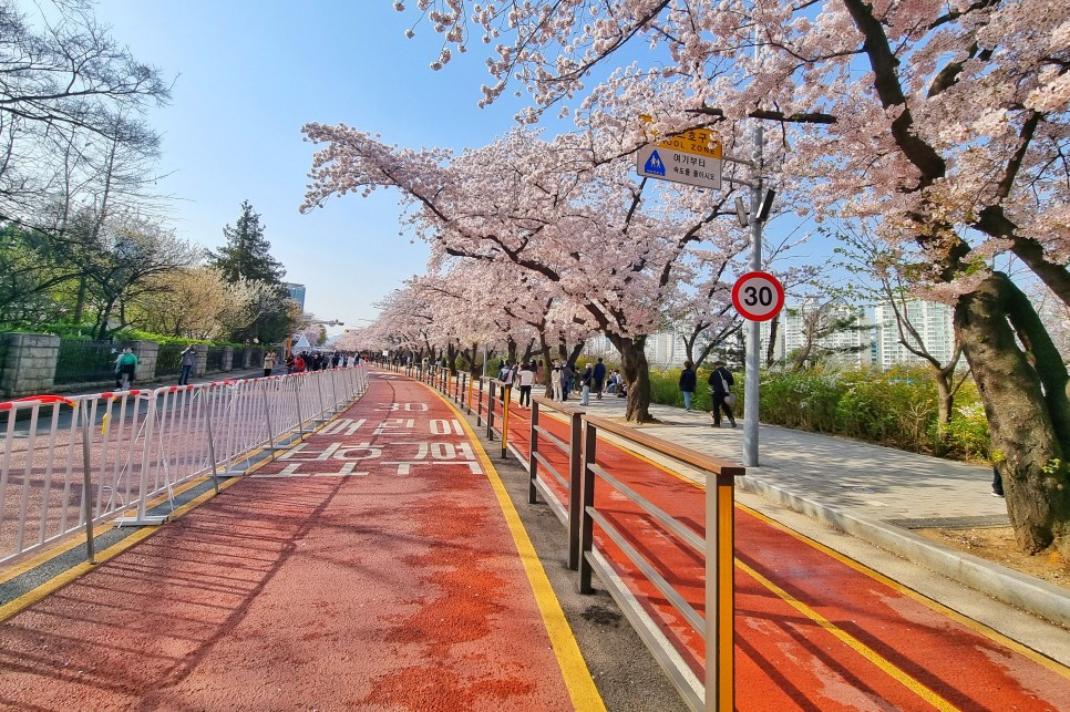 가평 수상레저 지금부터 준비