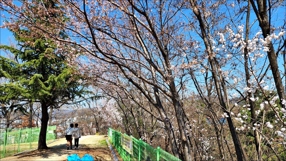 대전 여행 데이트 코스 전망좋은 대동하늘공원 대전 볼거리 굿!