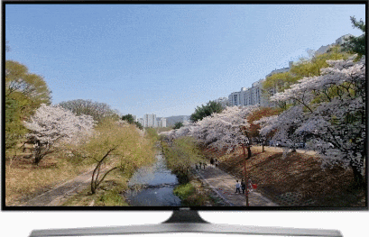 성남 벚꽃 명소 분당 중앙공원 주차 & 예쁜 스팟