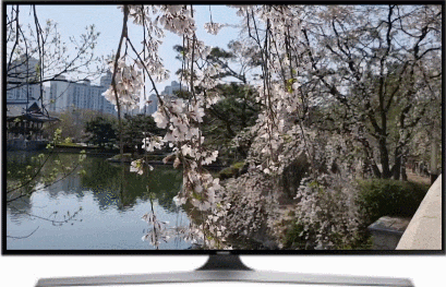 성남 벚꽃 명소 분당 중앙공원 주차 & 예쁜 스팟