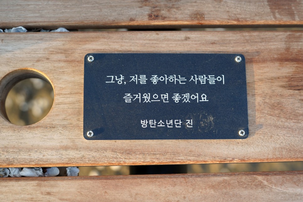 서울 피크닉 서울숲 벚꽃 feat. 엔제리너스 테이크아웃