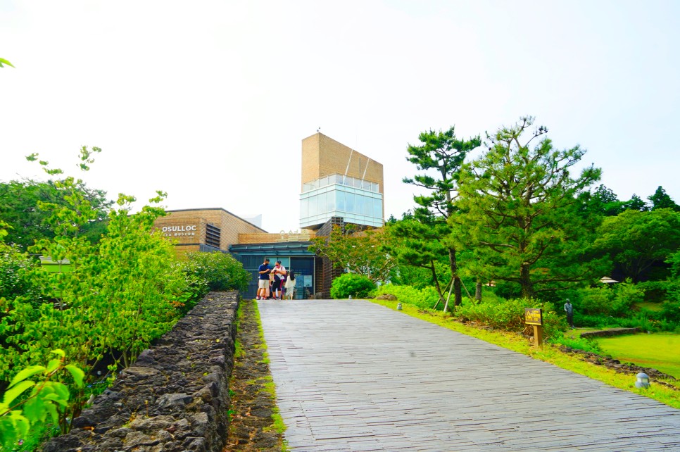 제주 서쪽 가볼만한곳 오설록 티뮤지엄 외 제주도 서쪽 코스