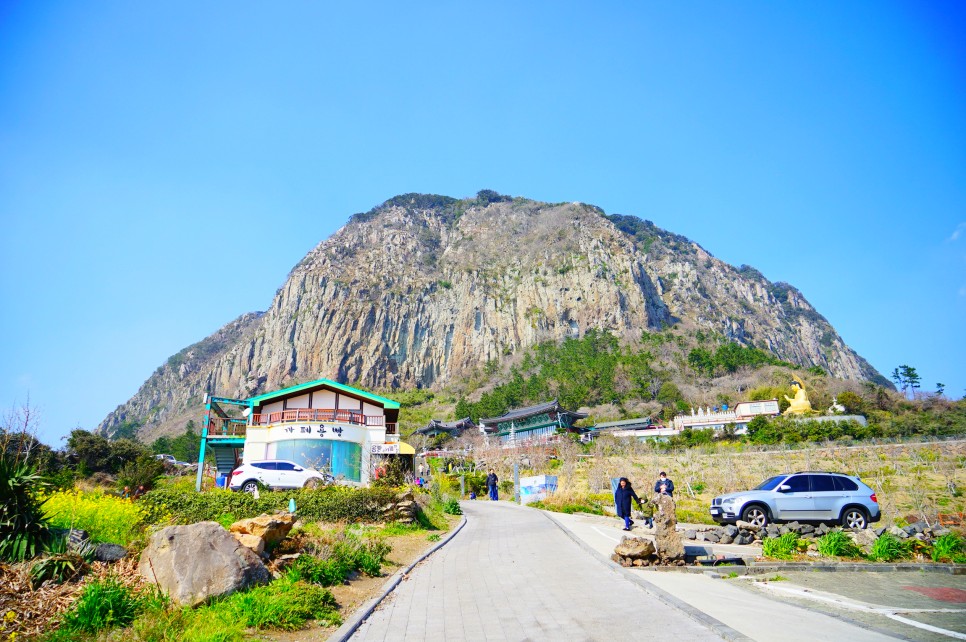 제주 서쪽 가볼만한곳 오설록 티뮤지엄 외 제주도 서쪽 코스