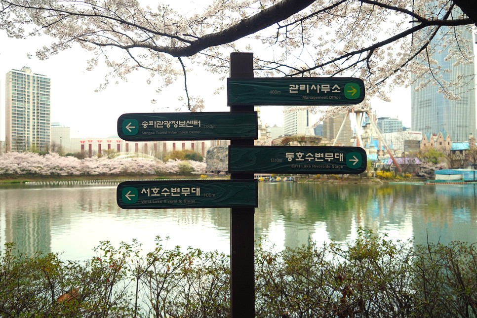 서울 꽃구경 잠실 석촌호수 벚꽃 주차 팁 & 벨리곰 위치