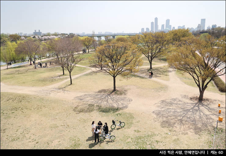 서울 선유도공원 벚꽃 양화 한강공원 걷기 데이트 추천