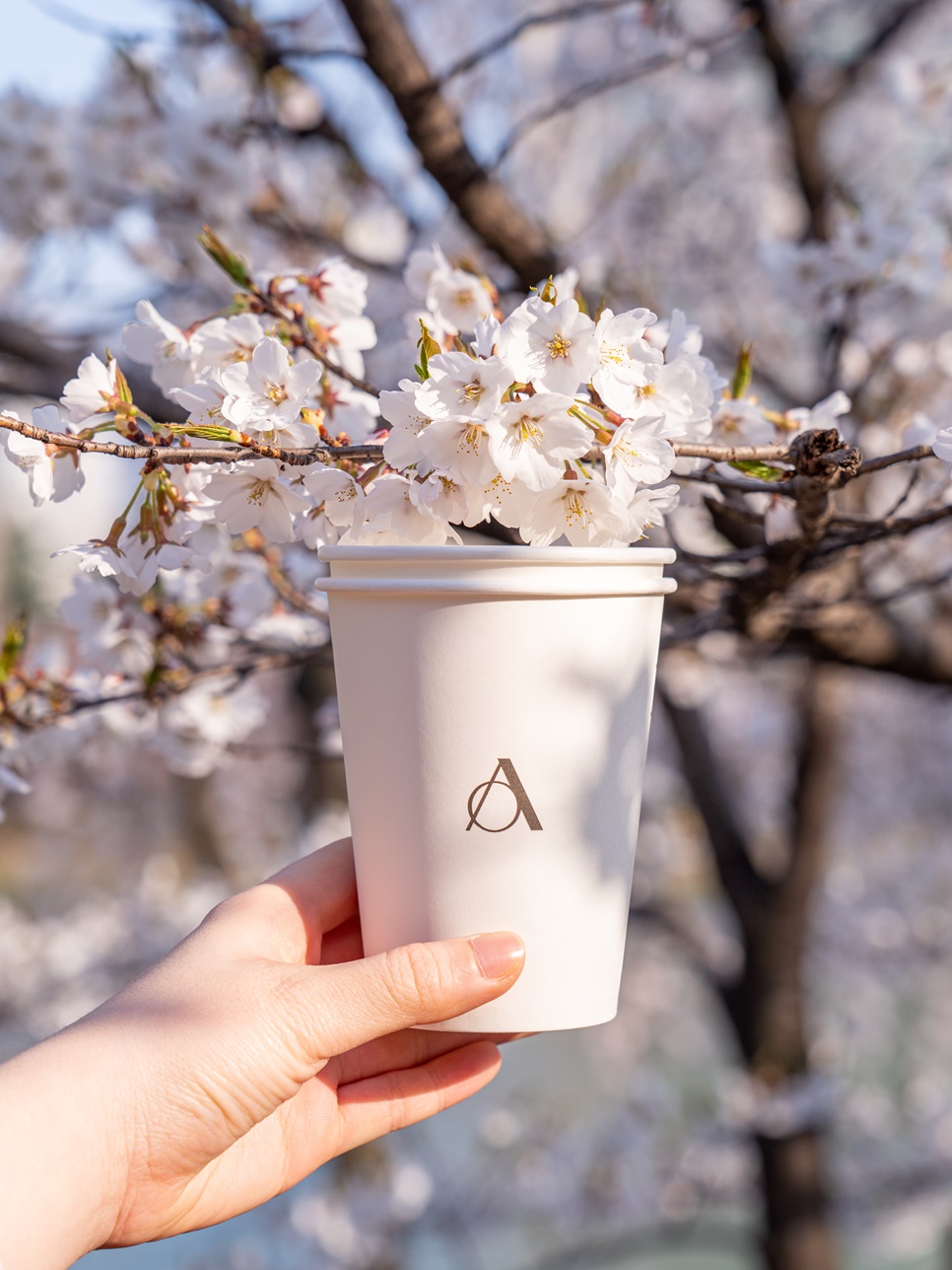 엔제리너스 테이크아웃 & 반미샌드위치 커피와 함께 벚꽃 피크닉