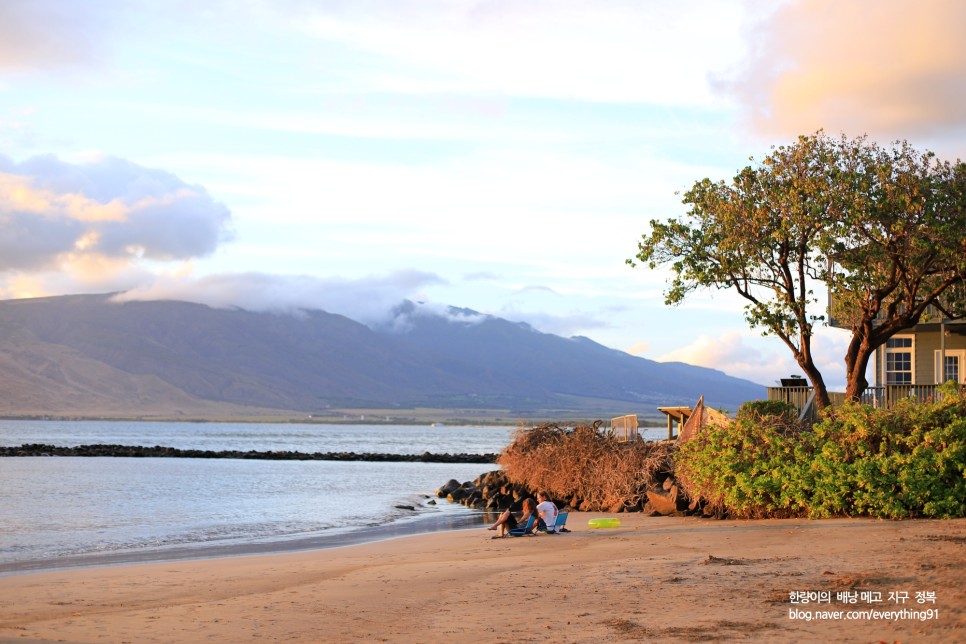 하와이 렌트카 와이키키 인수 반납 위치 + 마우이 빅아일랜드