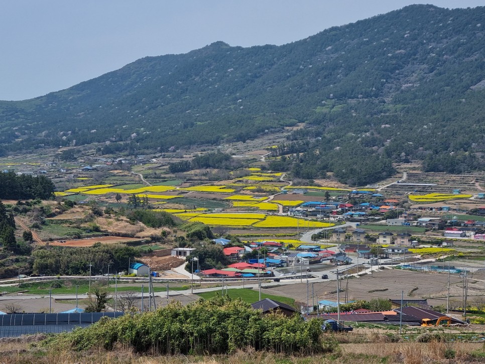 완도 청산도 여행 이상과 현실 ! 지금은 축제 중 간단후기