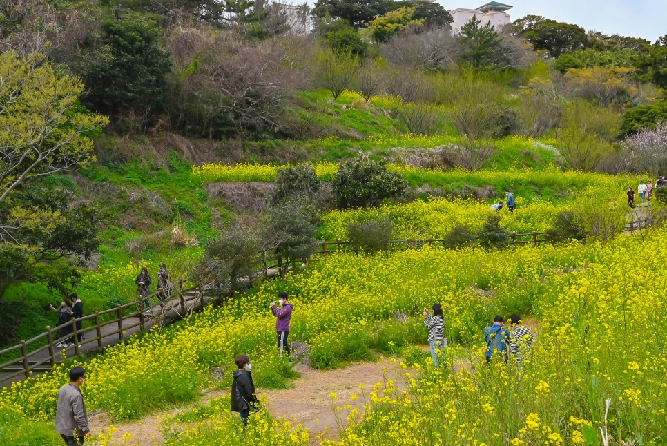 4월 제주도 가볼만한곳 산양곶자왈 등 제주 핫플 5곳