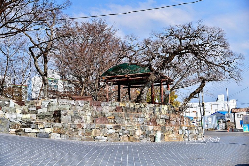 경남 사천 가볼만한곳 사천 씨맨스 청널공원 남일대해수욕장 등 드라이브코스