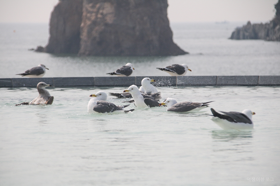 충남 태안 가볼만한곳 볼거리 많았던 여행 코스