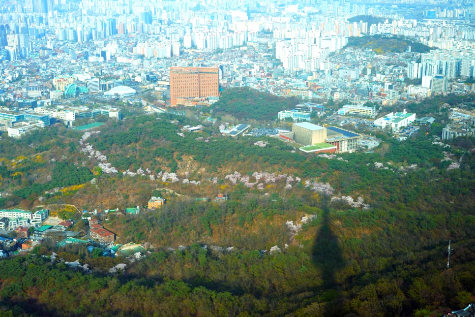 서울 가볼만한곳 서울 남산타워 전망대 할인 팁