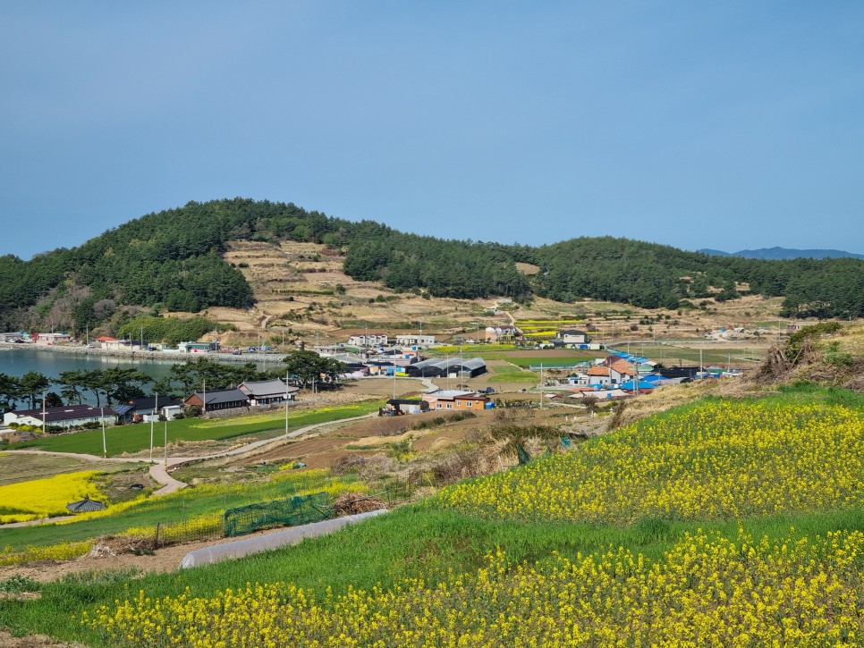 완도 청산도 여행 이상과 현실 ! 지금은 축제 중 간단후기