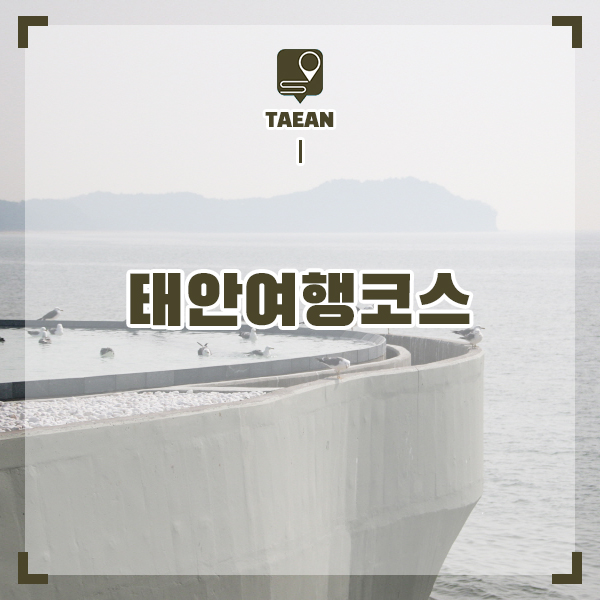 충남 태안 가볼만한곳 볼거리 많았던 여행 코스