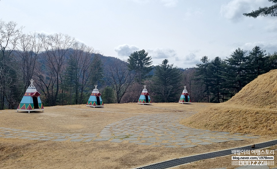 강원도여행 홍천 알파카월드 봄 힐링데이트 대만족 가볼만한곳