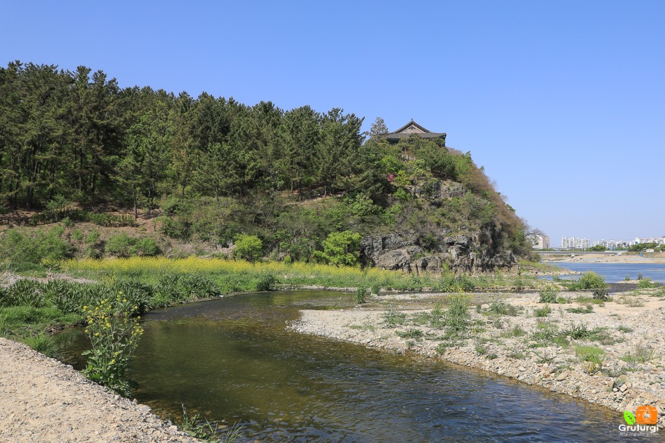 경주 불국사 겹벚꽃 개화시기 경주 가볼만한곳