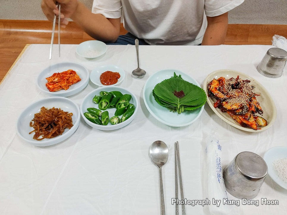 옥천 맛집 한밭식당 삼계탕