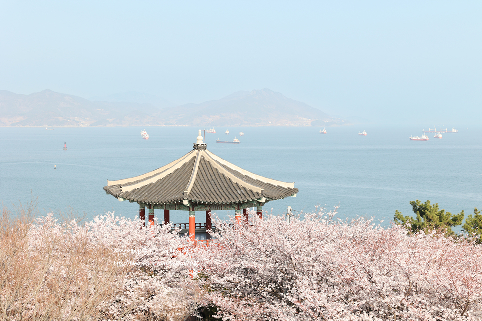 여수 당일치기 벚꽃 여행 여수 자산공원 돌산공원 돌산대교까지