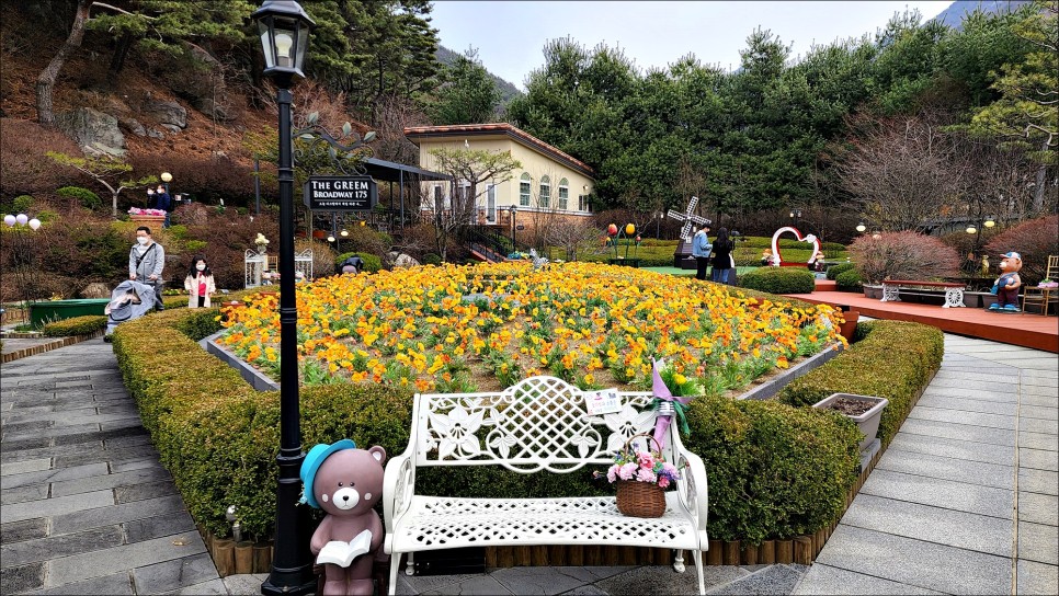 서울 한적한곳 벚꽃 활짝 핀 서울 산책로 마포새빛문화숲!