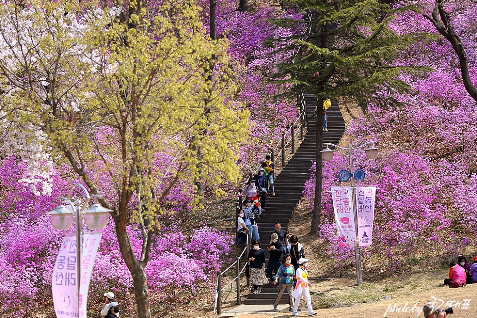 부천 원미산 진달래동산 봄데이트 가볼만한곳 부천 둘레길 등산