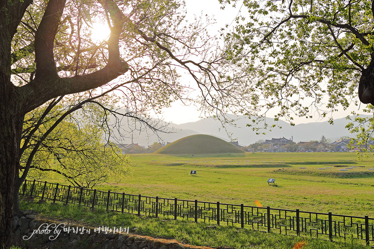 경주 여행 코스 첨성대 튤립 봄데이트 4월 꽃구경, 국내 봄 여행지