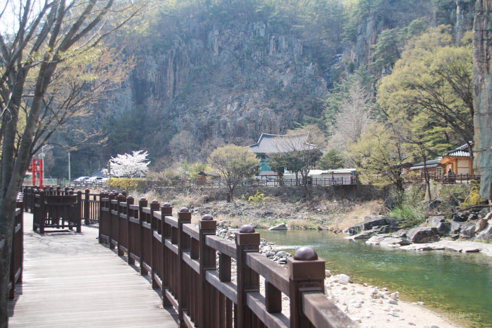 충북 단양 가볼만한곳 6곳 소금정공원 벚꽃·단양강잔도 등 여행 코스