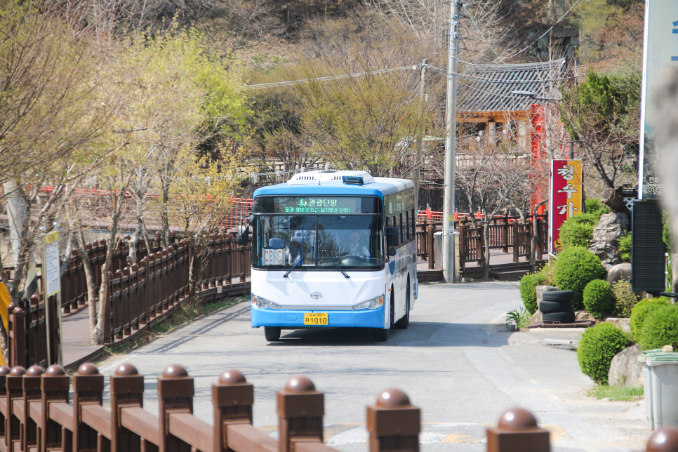 충북 단양 가볼만한곳 6곳 소금정공원 벚꽃·단양강잔도 등 여행 코스