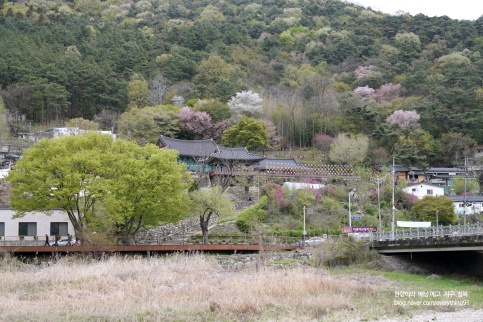 전주 드라마 촬영지 스물다섯 스물하나 나희도 집, 터널 여행