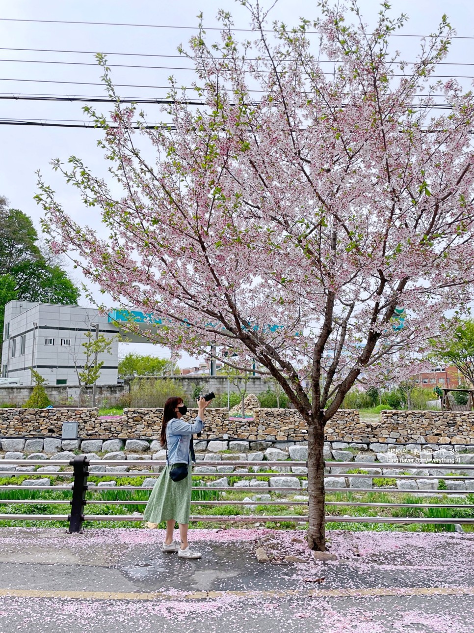 전주 드라마 촬영지 스물다섯 스물하나 나희도 집, 터널 여행